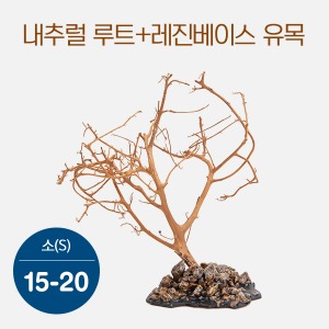bizidduk내추럴 루트+레진베이스 유목(소) 15~20cm