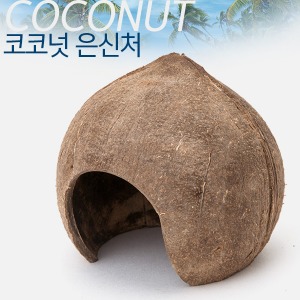 bizidduk코코넛 은신처(1개)